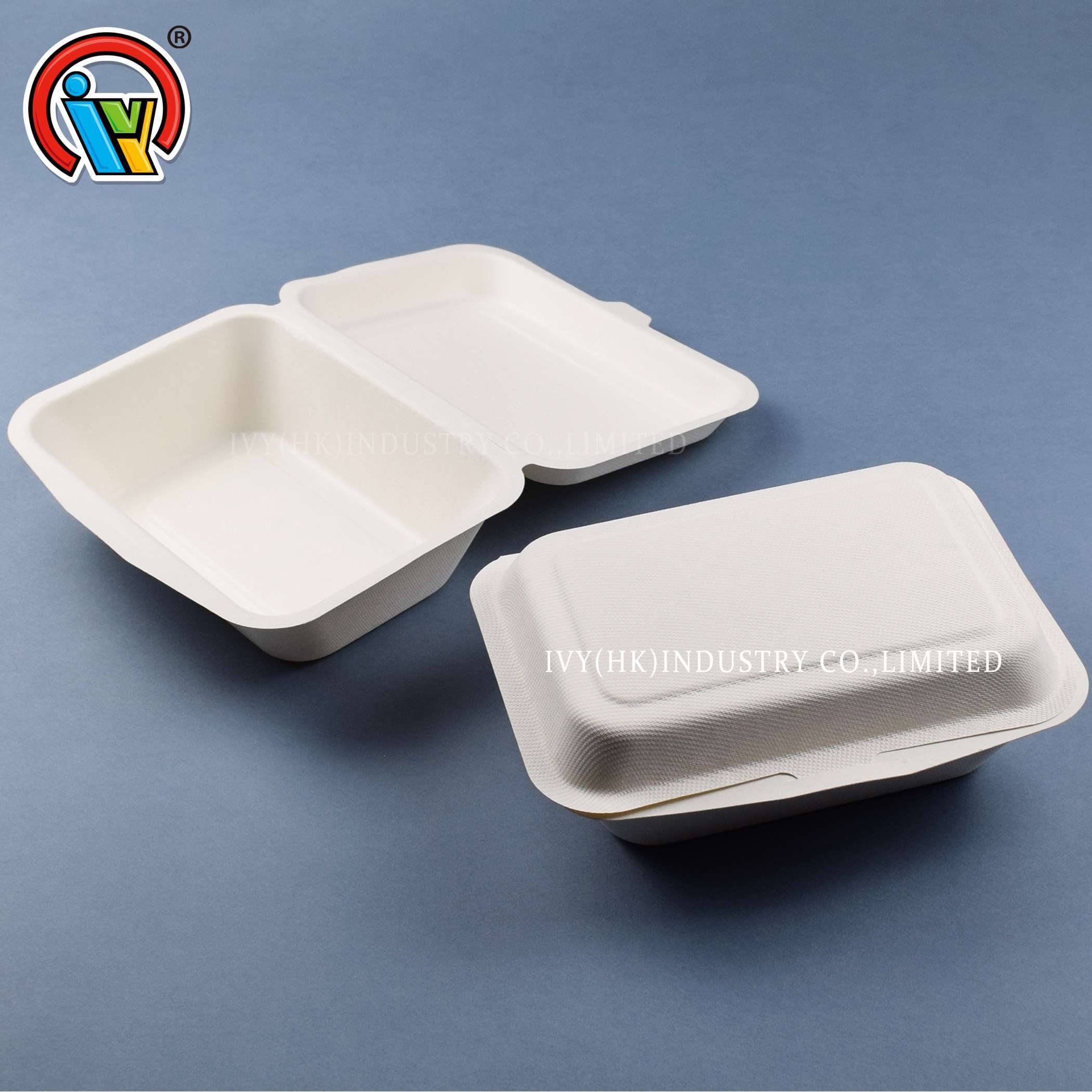 Boîte à lunch en pulpe de bagasse biodégradable du fabricant chinois
